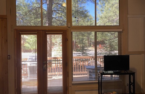 Munds Park Cabin | Cute cabin on quiet lot with lots of pines Dog Friendly