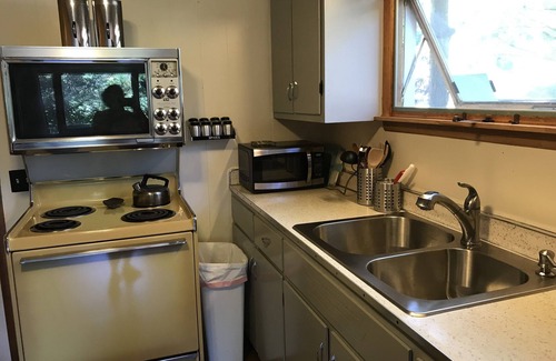 Silver Lake Cottage | CUTE RETRO cabin, RELAX here, AC, Lake view, big yard, assoc. dock, pet friendly