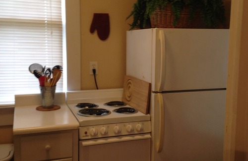 Bartow Apartment | Cute "Treehouse" Apartment