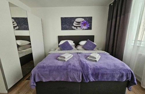 Hradec Kralove Apartment | Dům se dvěma byty, zahrada, WiFi, Netflix a parkování zdarma, klidná část Hradce Králové
