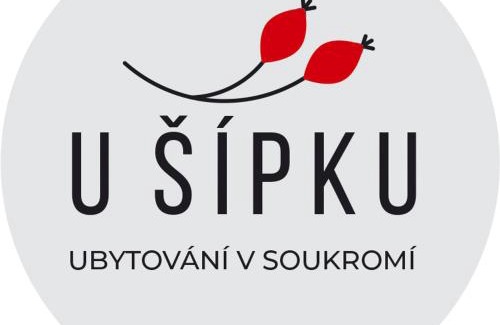 Krasna Lipa House | Dům U Šípku
