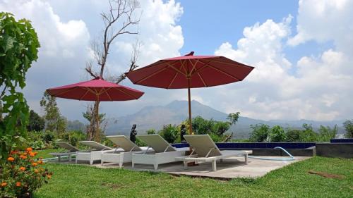 Kedisan Bed & Breakfast | D’Taman cabin Kintamani