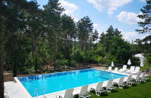 Mineralni Bani Hotel | D Villa