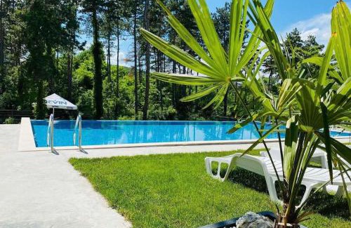 Mineralni Bani House | D Villa