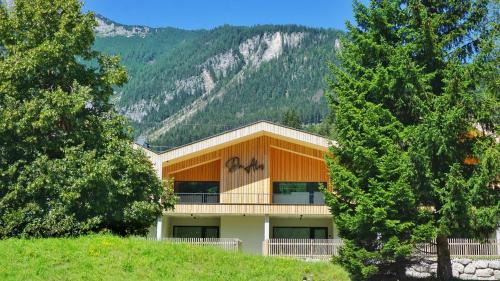 Mitterberg-Sankt Martin Apartment | Da Alois - Alpine Premium Apartments