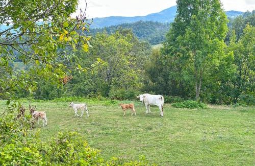 Pieve Santo Stefano Apartment | Da Santina 23