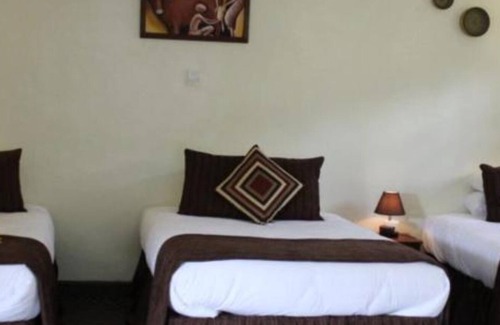 Musanze Cabin | Da Vinci Gorilla Lodge