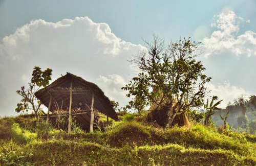 Geyzing House | Daarapari