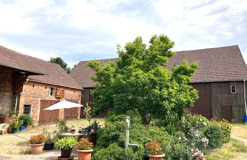 Schlamau Apartment | "Dachstudio - Schlamau19" Apartment with Shared Terrace and Shared Garden