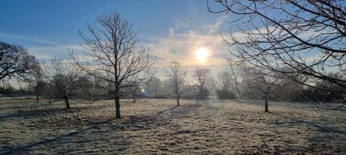 Attleborough Bed & Breakfast | Dairy Cottage Luxury B&B