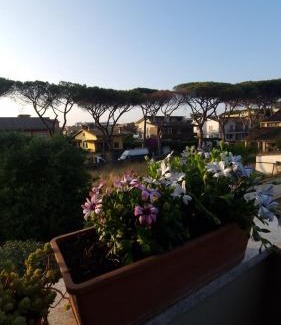 Zona XXXIII Acilia Sud Apartment | Daisy House