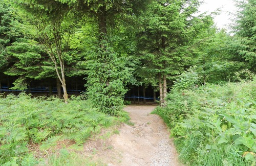 North Bitchburn Cottage | Dale View