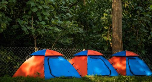 Dandeli Hotel | Dandeli Wild River Resort