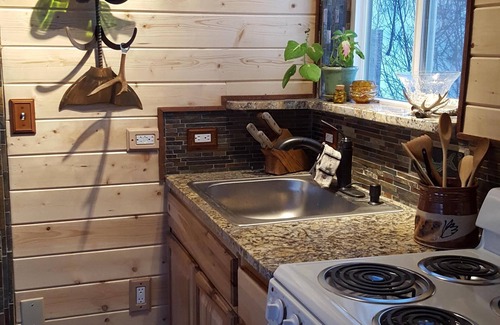 Nikiski Cabin | Daniels Lake Front Cabin with Alaska Range Mtn View