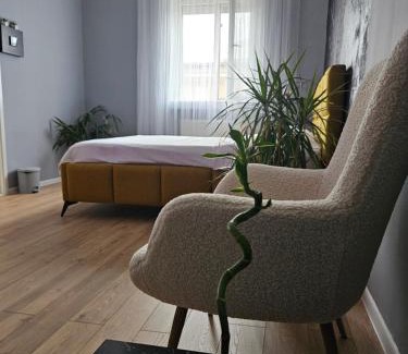 Braila Apartment | Danube Studio