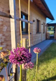 Innerschwand House | Dasis home