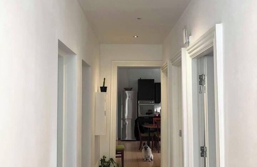Randers House | Davaas Mini Hotel