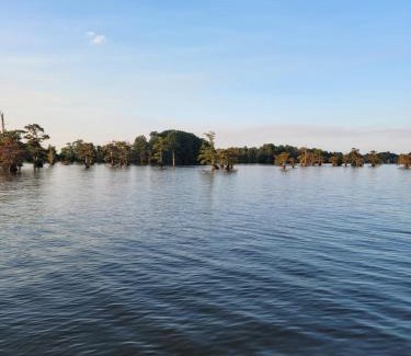 Tiptonville House | Daves shallow lake lodge at reelfoot lake