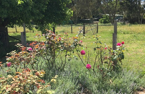 Penola Cottage | Davidson's Cottage Penola: Open fire, AC, Wifi, SMART TV, Garden Pet Friendly