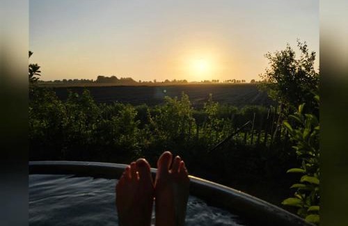 Ouwster-Nijega Bed & Breakfast | De Aurelia