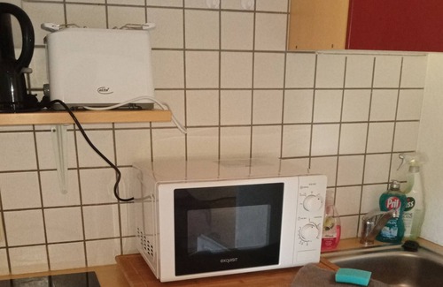 Langenchursdorf Apartment | Holiday apartment/apt. for 2 guests with 28m² in Callenberg OT Langenchursdorf (169416)