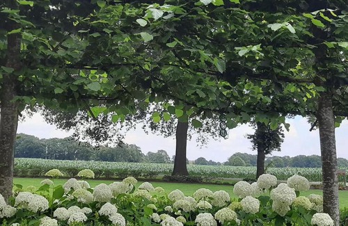 Rossum Bed & Breakfast | De Hörst