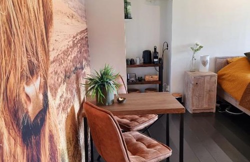 Smilde Bed & Breakfast | De Schotse Hooglander