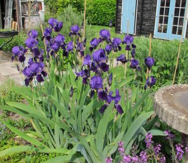 Boven-Leeuwen Bed & Breakfast | De Slaapmus