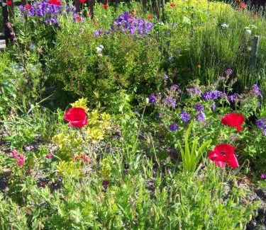 Warffum Bed & Breakfast | de Twee Paardjes