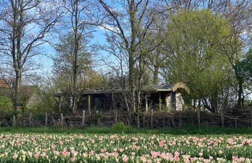 Municipality of Schagen Ski Chalet | De Verborgen Pracht