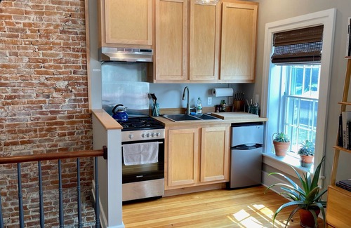 Decorah Apartment | Decorah House- Airy, modern, full of natural light, 5 blocks to downtown