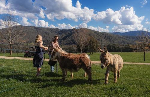 Bright House | Deep Creek Farmstay