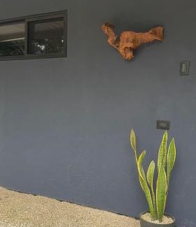 Cabuya Apartment | Deer Houses Cabuya
