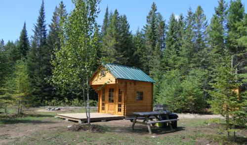 Hastings Highlands Other | Deer Meadow #1