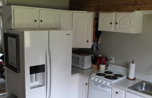 Johannesburg Cabin | Deer-View Cabin - Remodeled Cabin with Spacious Yard and Cozy Living