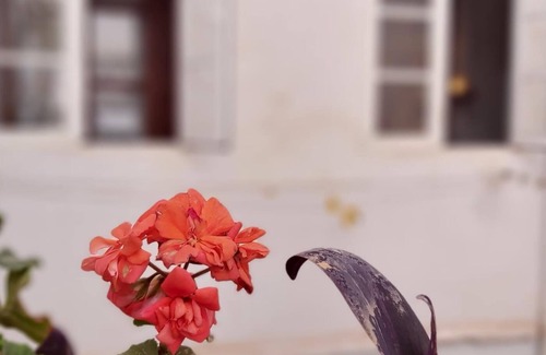 La Merced Apartment | Del Parque Flats Alamos Terrace