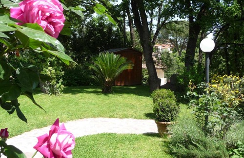 Monte Caminetto Villa | Deliziosa Villa alle porte di Roma