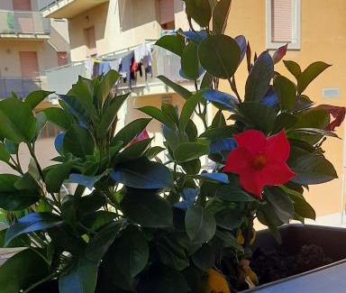 San Daniele del Friuli Apartment | Delma's home