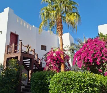 El Hadaba Apartment | Delta Sharm luxury pool view apartment Shahrazad