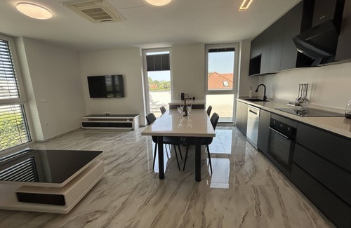 Hajdina Apartment | Delux One Bedroom Apartment with Terrace Lux 1