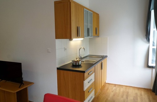 Kozarisce Apartment | Deluxe One-Bedroom Apartment with Castle View