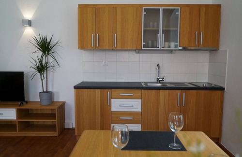 Kozarisce Apartment | Deluxe Two-Bedroom Apartment with Castle&Garden View