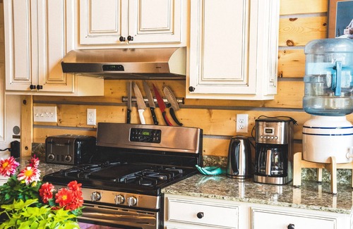 Healy Cabin | Denali Bear Cabin w/Hot Tub, Entire Cabin, Private, 3 beds