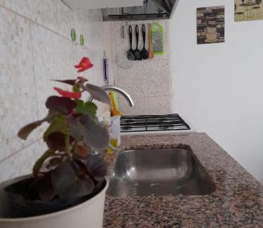 Cipolletti Apartment | Departamento Balcarce
