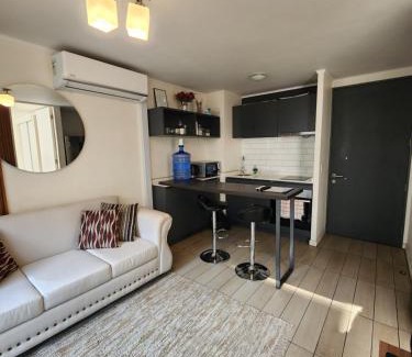 Downtown Santiago Apartment | Departamento Climatizado Parque Almagro