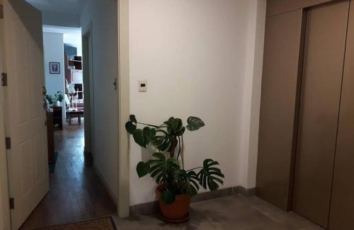 Downtown La Paz Apartment | DEPARTAMENTO en La Paz MUNDO LUNA