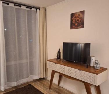 Downtown Santiago Apartment | Departamento metro Rondizzoni
