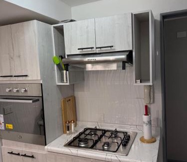 Rio Bueno Apartment | Departamento Plaza Río Bueno