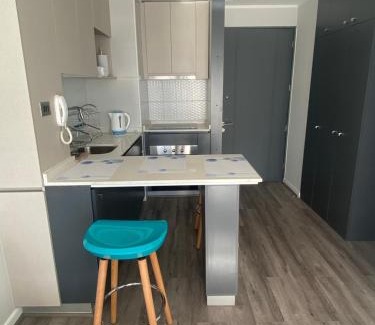 Concepcion Apartment | Depto nuevo en brisas del sol