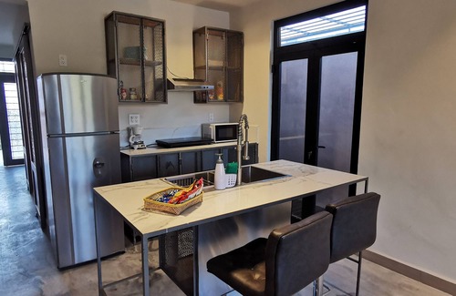 Monterrey Municipality Apartment | Depto Pino Blanco